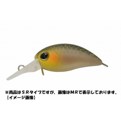 ジャッカル ちびパニクラSR 静岡美人