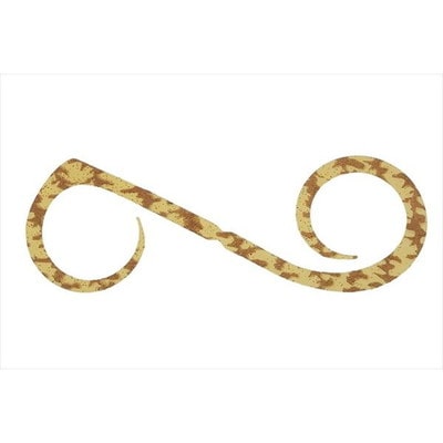 ジャッカル タイラバ 鯛ラバ ビンビンスイッチT+ネクタイ デュアルカーリー エビオレ