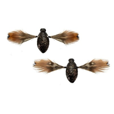 ジャッカル ワーム ニードシケイダー 桧原ブラック