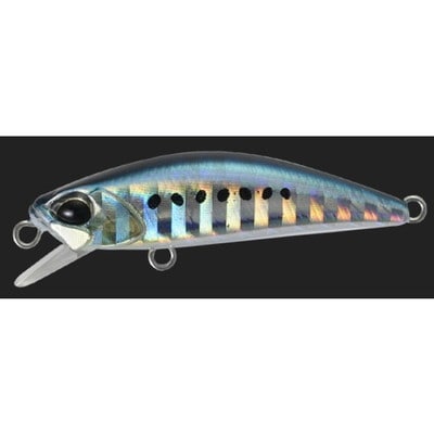 デュオ(DUO) テトラワークス トト 42 #TH-01 マイワシ