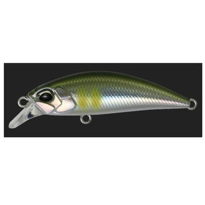 デュオ SHリュウキ50S アユ