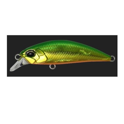 デュオ(DUO) SHリュウキ50S グリーンゴールドOB