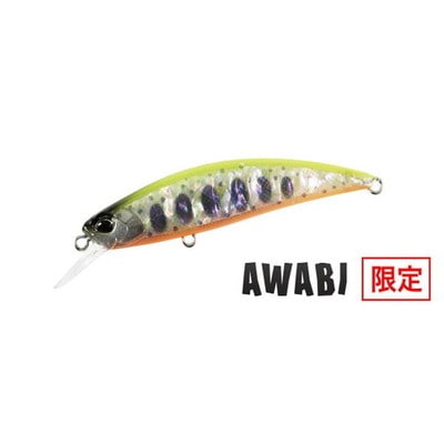 デュオ トラウトプラグ 24スピアヘッド リュウキ60S アワビ CCC4112 チャートヤマメアワビ