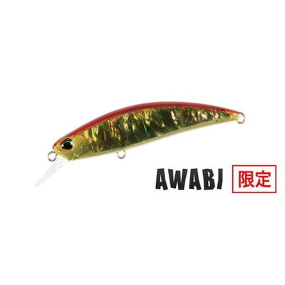 デュオ トラウトプラグ 24スピアヘッド リュウキ60S アワビ CCC4115 赤金アワビ