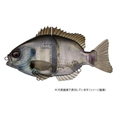 エバーグリーン　ブリムスライド　＃６３４　スケルトンブリム