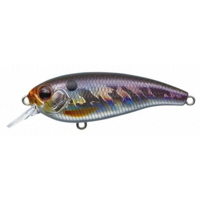 エバーグリーン ベルカント #209 ホログラムワカサギ