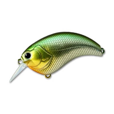 deps イヴォーク2.0 #01 ケタバス