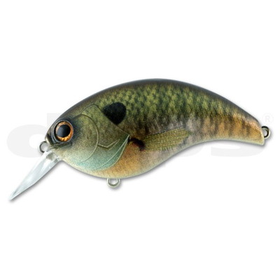 deps(デプス) イヴォーク 3.0 #04 スカムパーチ