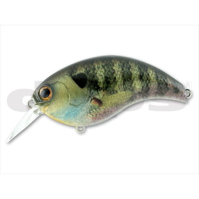 ｄｅｐｓ デプス バスルアー EVOKE イヴォーク 1.8 #10 リアルブルーギル