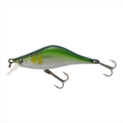 ティムコ ラクス50S 006 MHアユ