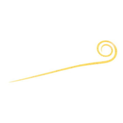 ダイワ 紅牙 シリコンネクタイ 中井チューン ストレートカーリースリム 蜜柑ラメ