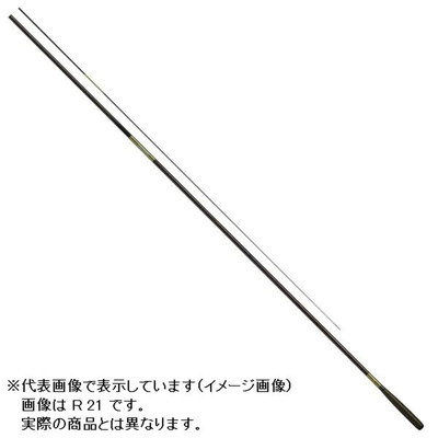 ﾀﾞｲﾜ  ﾍﾗ(HERA) R 24(並継 6本継)