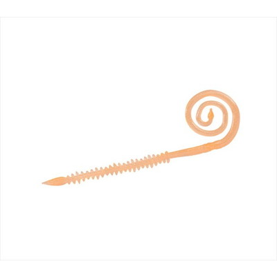 ダイワ 紅牙中井蟲カーリー7 紅牙オレンジ タイラバ 鯛ラバ