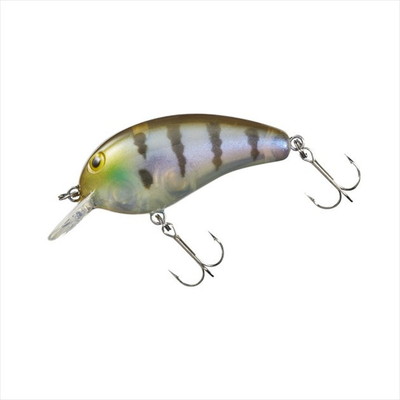 ダイワ バスルアー ピーナッツ SR 生ギル