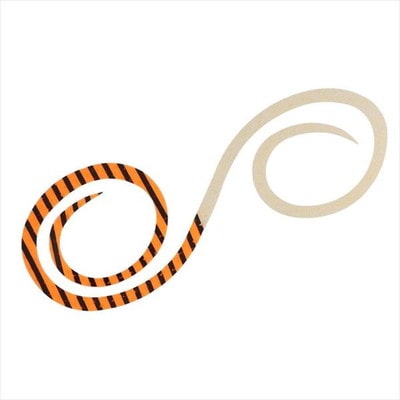 ダイワ タイラバ 鯛ラバ 紅牙シリコンネクタイ 3Dやり過ぎツインカーリー オレンジゼブラ+ゴールドラメ