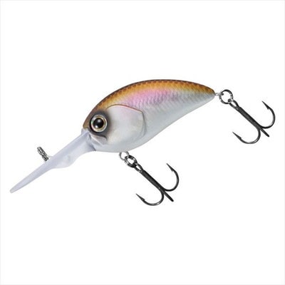 ダイワ バスルアー タイニースティーズクランク 200 マットホロワカサギ