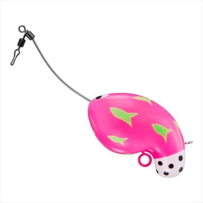 ダイワ ふく式 ドラゴンフルーツ