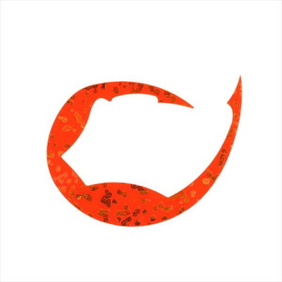 ダイワ タイラバ 鯛ラバ 紅牙シリコンネクタイパデシャ極厚 M 寿オレンジ