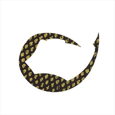 ダイワ タイラバ 鯛ラバ 紅牙シリコンネクタイパデシャ極厚 M アロワナブラック