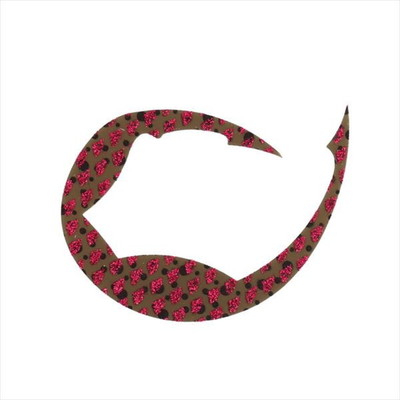 ダイワ タイラバ 鯛ラバ 紅牙シリコンネクタイパデシャ極厚 M ブラックベリー