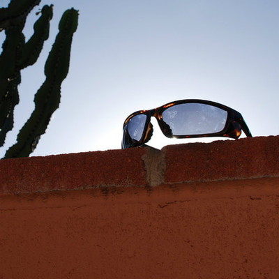 LSD(Love Soul Dream)Eyeware サーチ Tortois/Grey Green 偏光グラス