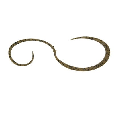 ライズジャパン タイラバ 鯛ラバ なみだまネクタイ ちょうどよカーリー #NC20 GPS