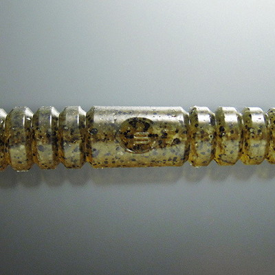 イッセイ スパテラ10 グリーンパンプキン