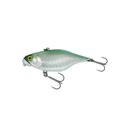 ディスタイル バスルアー TN60 TypeD SS 銀牙鮒