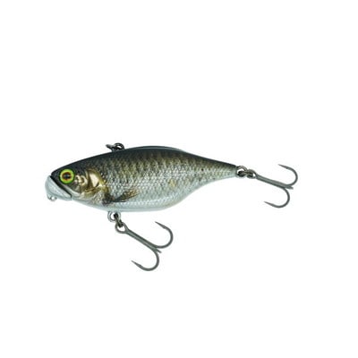 ディスタイル バスルアー TN60 TypeD SS RTスクールコブナ