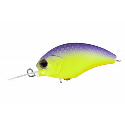 OSP タイニーブリッツMR (TINY BLITZ) PP81 チャートパープルバック