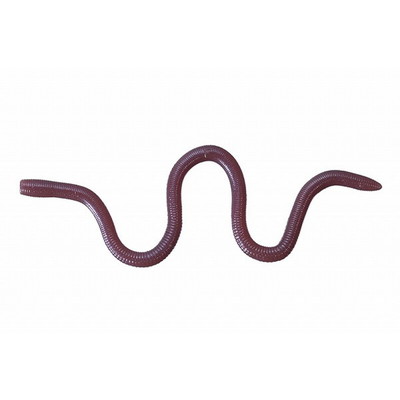 OSP ワーム MMZ デカ W050ミミズゥ 6403050