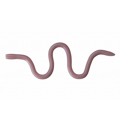 OSP ワーム MMZ デカ W066エサナチュラル 6403066