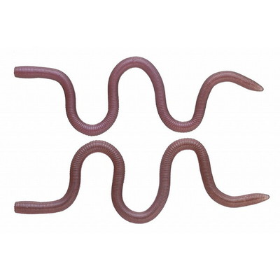 OSP ワーム MMZ ナミ TW198なちゅらるみみずぅ