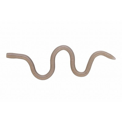 OSP ワーム MMZ ナミ W075ステルスみみずぅ