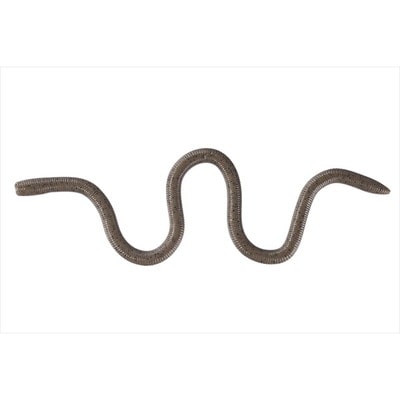 OSP オーエスピー ワーム MMZ デカ WF004グリーンパンプキンペッパー(高浮力)