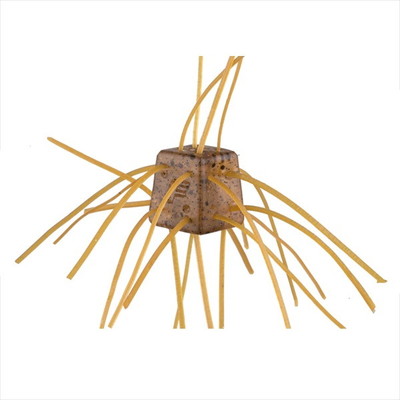 OSP ワーム サイコロラバー NONSALT 14mm SR08常勝シュリンプ