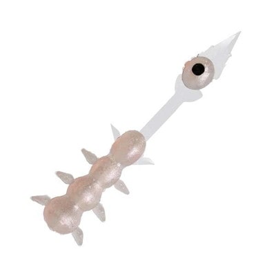 ゼスタ(XESTA) ワーム イクラ虫 1.2インチ #04 LPW アイボール