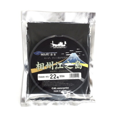 ゴウキ ハリス 相州江之島(フロロカーボン) 22号