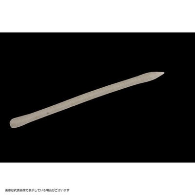 DSTYLE(ディスタイル) マイティーストレート3.8インチ ライトスモーク ワーム