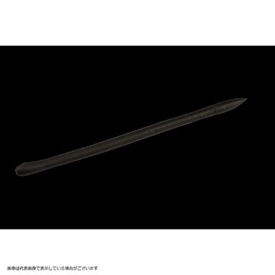 DSTYLE(ディスタイル) マイティーストレート3.8インチ ブラック ワーム