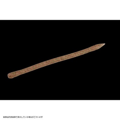 DSTYLE(ディスタイル) マイティーストレート3.8インチ モエビミソ ワーム