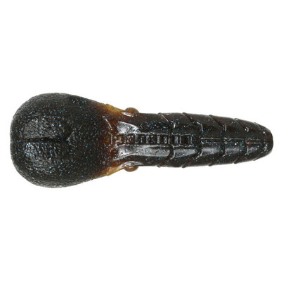 一誠 イッセイ ワーム AKパンチ3.3　#65 ダークパンプキンBLF