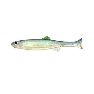 イマカツ ワーム ハドルファットフライ エラストマー 2.8インチ フラッシュプレート&リアルカラー #S-624 ブルーストライプシャッド(レインボー)