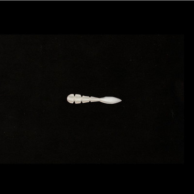 34(サーティーフォー) タープル1.6 オバケ ワーム