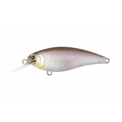 ボトムアップ リズィー(REAZZY) ワカサギ