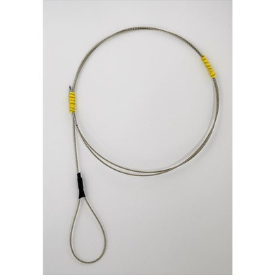 エヌティスイベル P入 ピクピクさかなしめ太 R-55 60cm