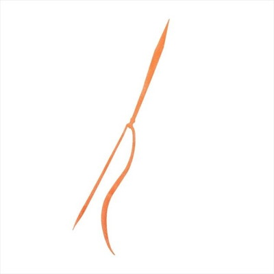 シマノ タイラバ 鯛ラバ ED-X02U 炎月 ミックスストレート 001 オレンジラメ