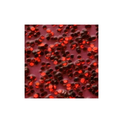 東邦産業 ダイアカラー10ml レッドラメ