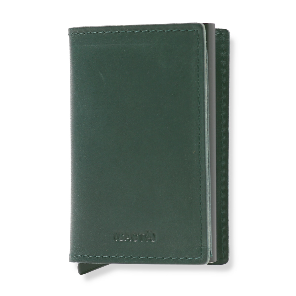 CACTA カクタ カードケース 2023 GREEN