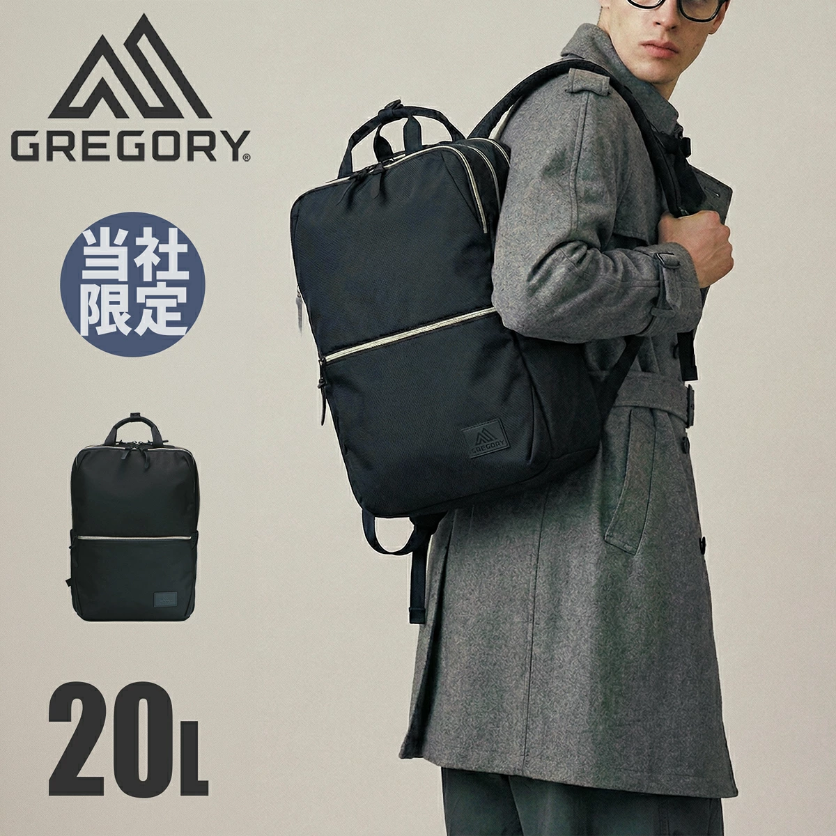 GREGORY グレゴリー リュック 限定モデル 別注 コミュートデイ 20L バリスティックプラス 通勤 ビジネスバッグ コーデュラバリスティックブラック